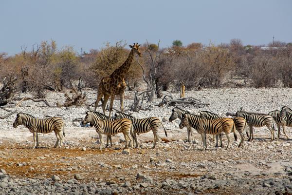 Namibia