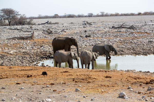 Namibia