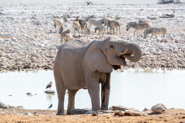 Namibia