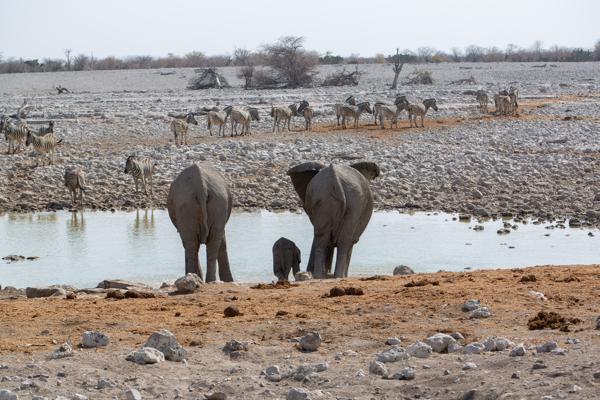 Namibia