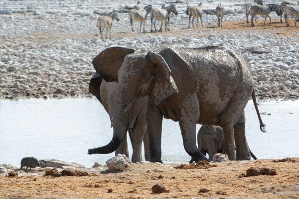 Namibia