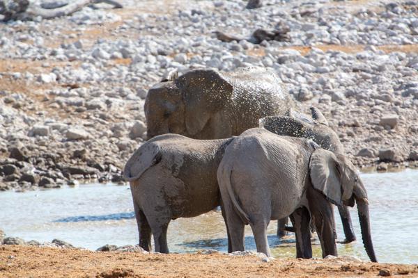 Namibia