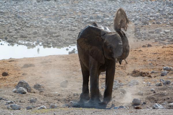 Namibia