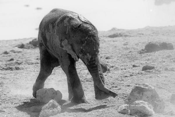 Namibia