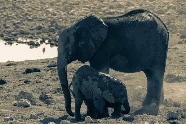 Namibia