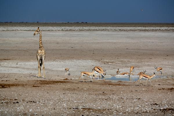 Namibia