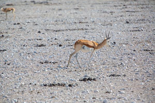 Namibia