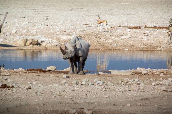 Namibia