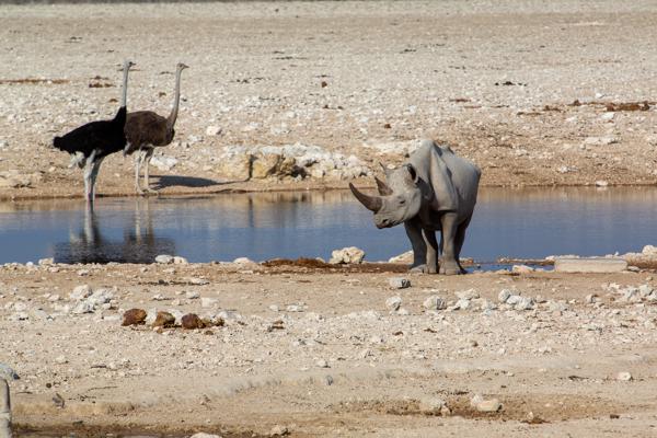 Namibia