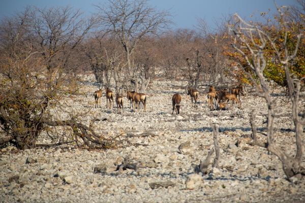 Namibia