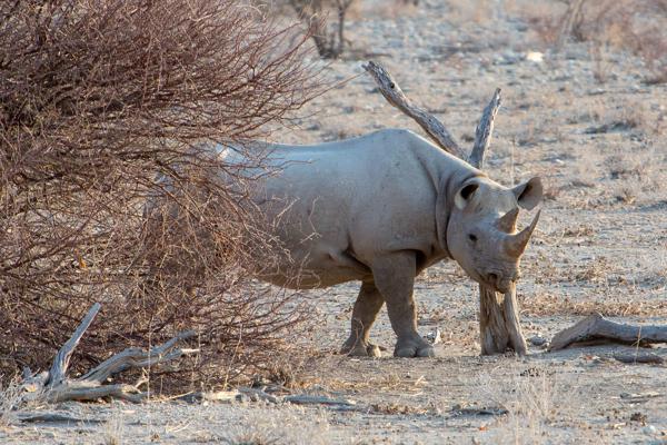 Namibia