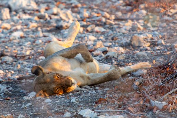 Namibia