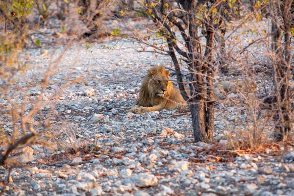 Namibia
