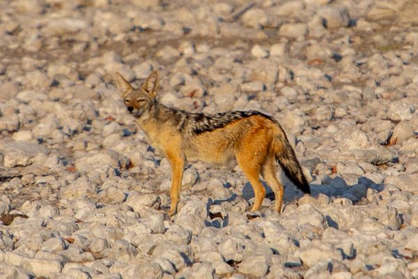 Namibia