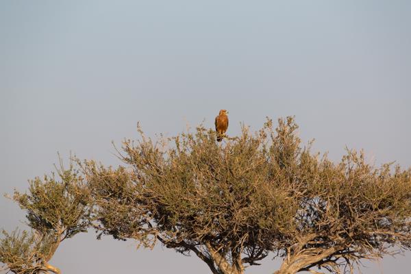 Namibia