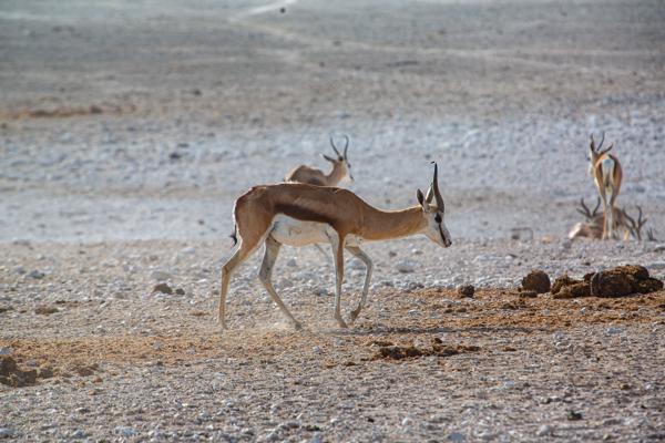 Namibia