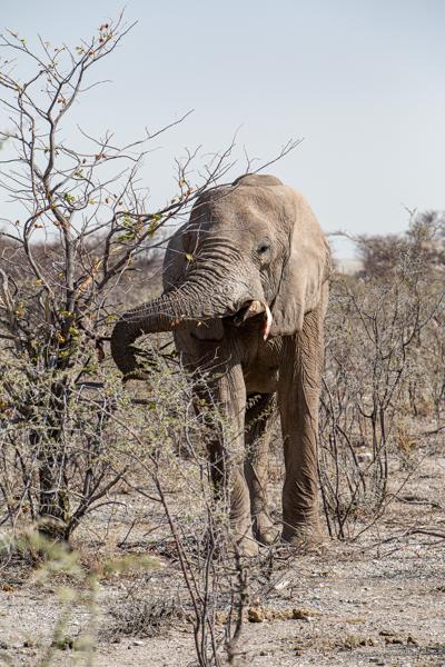 Namibia