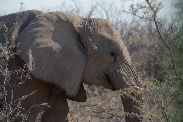 Namibia