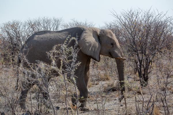 Namibia