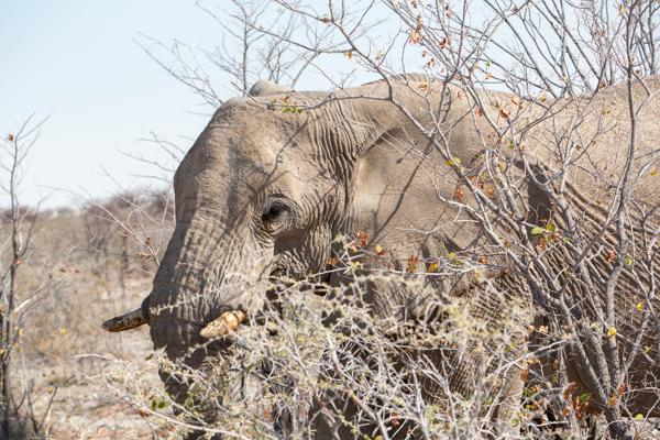 Namibia