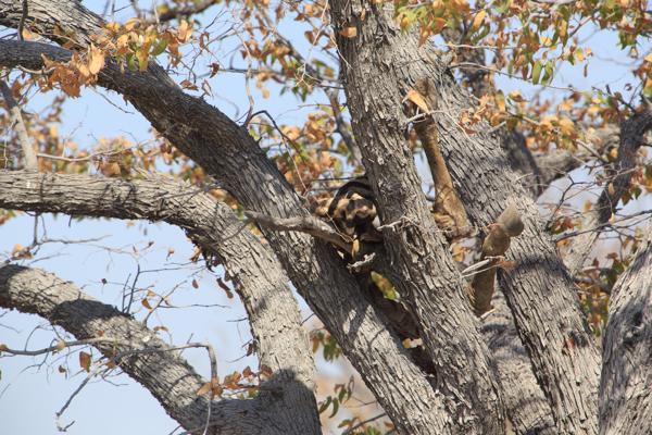 Namibia