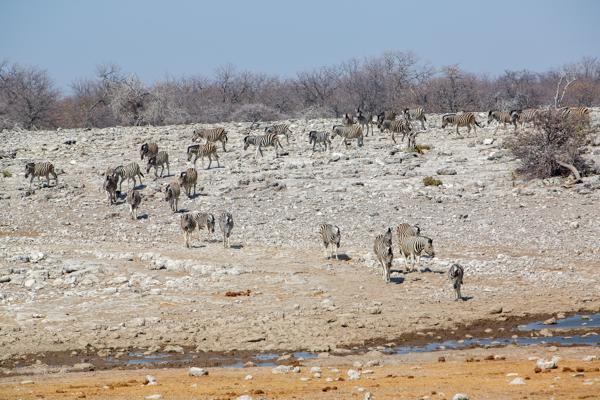 Namibia