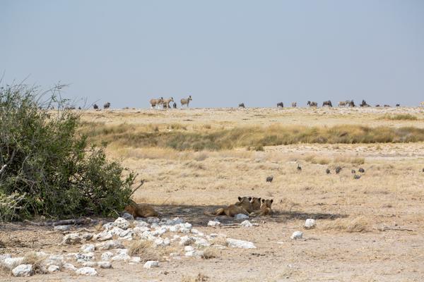 Namibia
