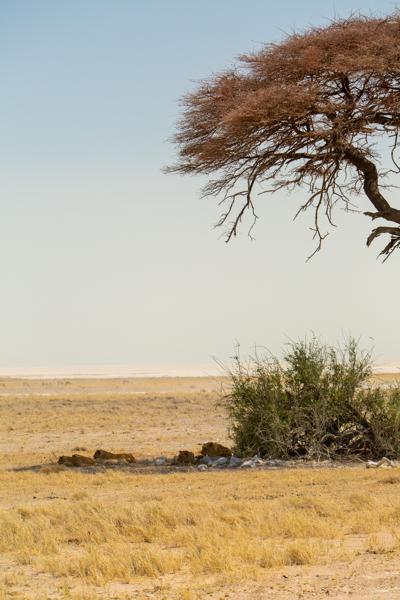 Namibia