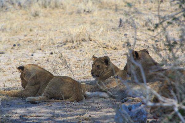 Namibia