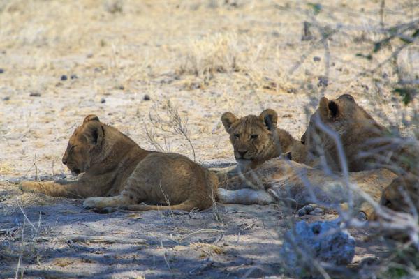 Namibia