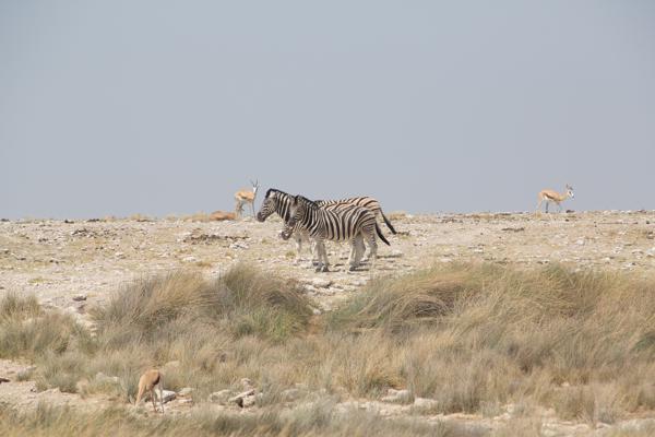 Namibia
