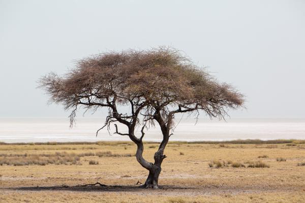 Namibia