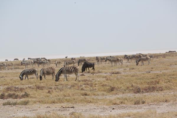 Namibia