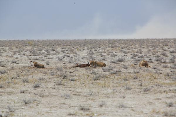 Namibia