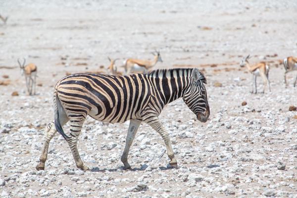 Namibia