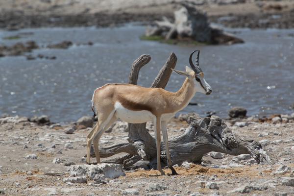 Namibia