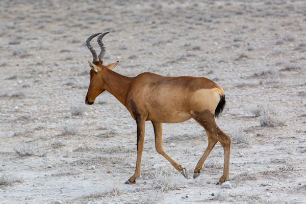 Namibia