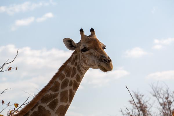 Namibia