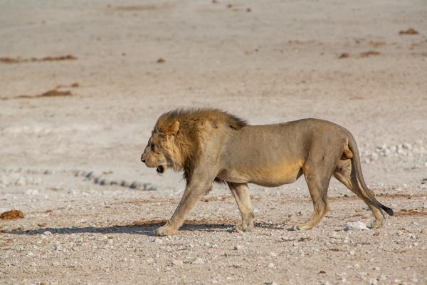 Namibia