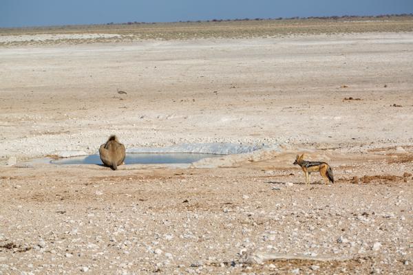 Namibia