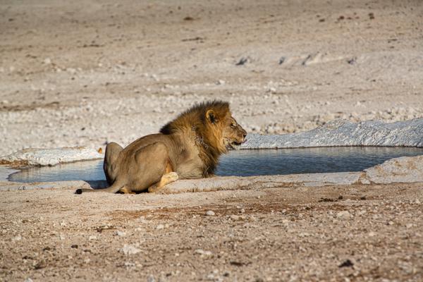 Namibia