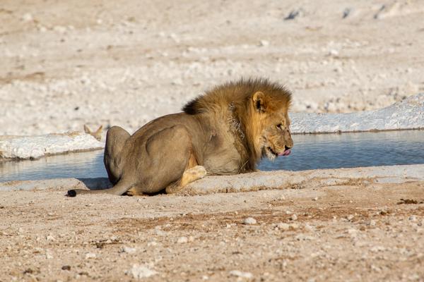 Namibia