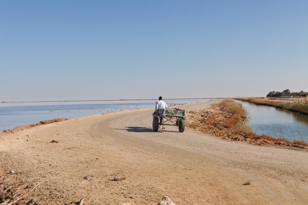 Siwa Oasis, Egypt