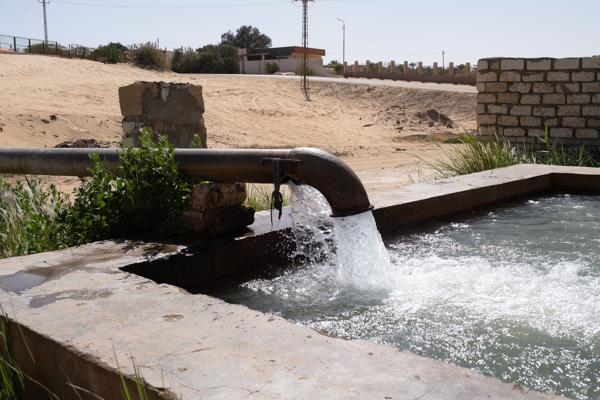 Bawiti, Egypt