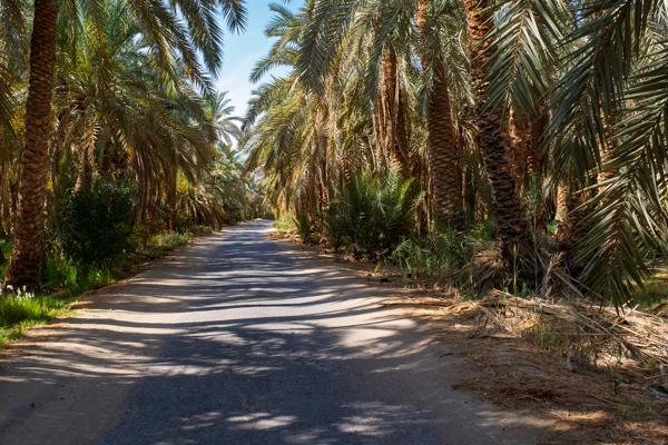 Bawiti, Egypt