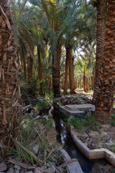 Bawiti, Egypt