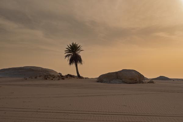 Egypt