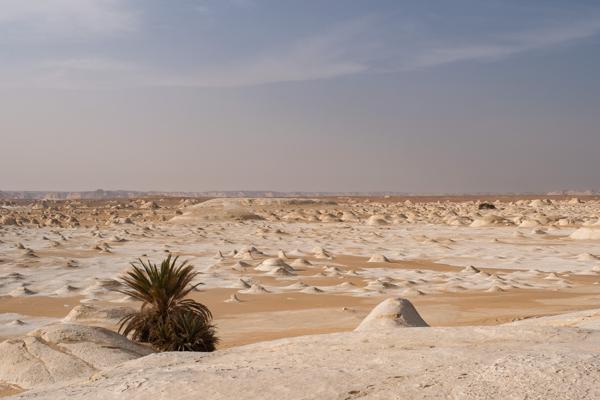 Egypt