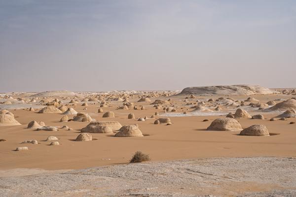 Egypt