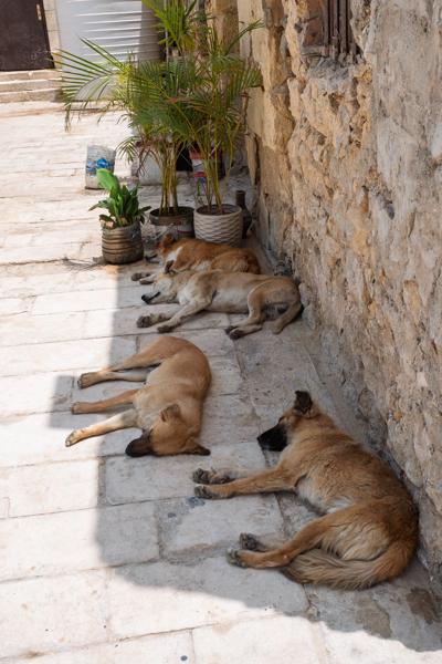 Cairo, Egypt